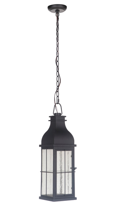 Vincent 1 Light Medium LED Outdoor Pendant in Midnight