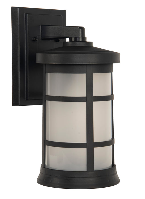 Resilience 1 Light Medium Outdoor Wall Lantern in Textured Black