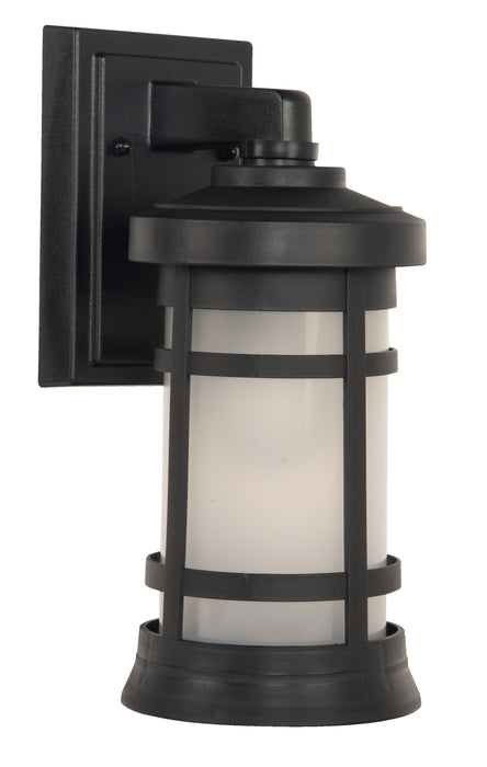 Resilience 1 Light Small Outdoor Wall Lantern in Textured Black