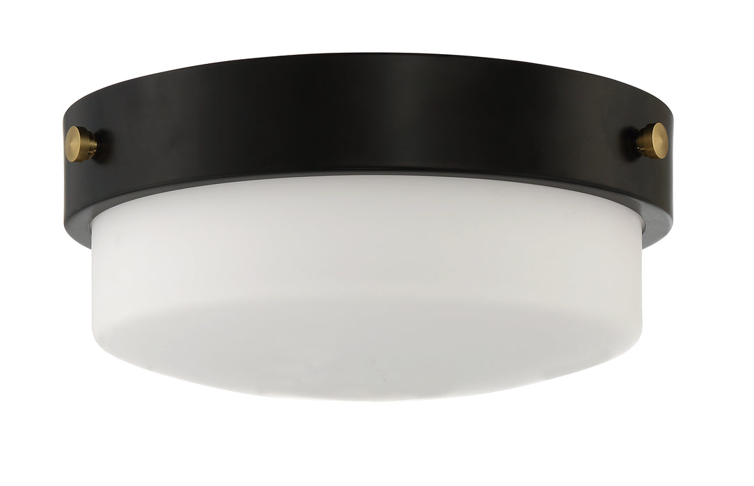 Oak Street 2 Light 12" Flushmount in Flat Black