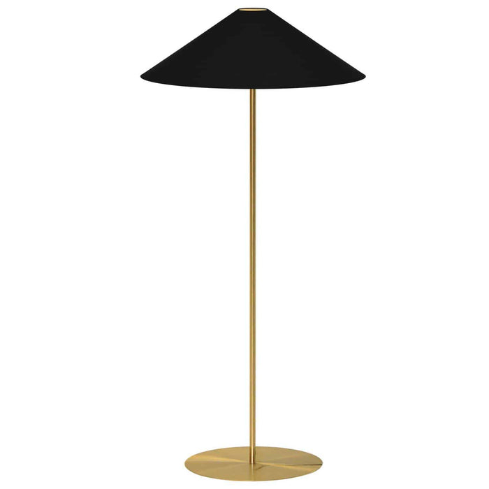 Maine 1 Light Floor Lamp - Aged Brass - Black/Gold Tapered Shade