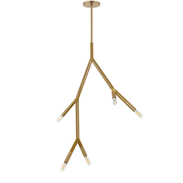 Morgan 5 Light Pendant - Aged Brass Finish