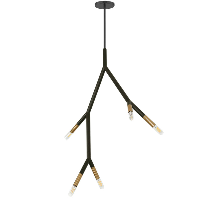 Morgan 5 Light Pendant - Matte Black/Aged Brass Finish