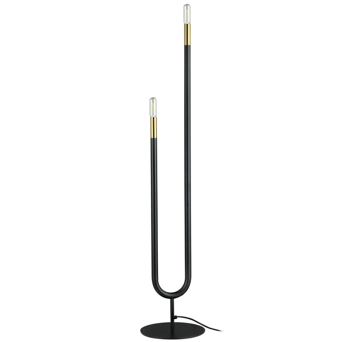 Wand 2 Light Floor Lamp - Matte Black - Aged Brass