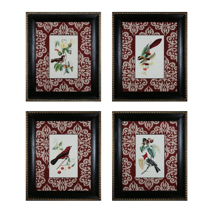 Cuvier Exotic Birds (4-piece Set)