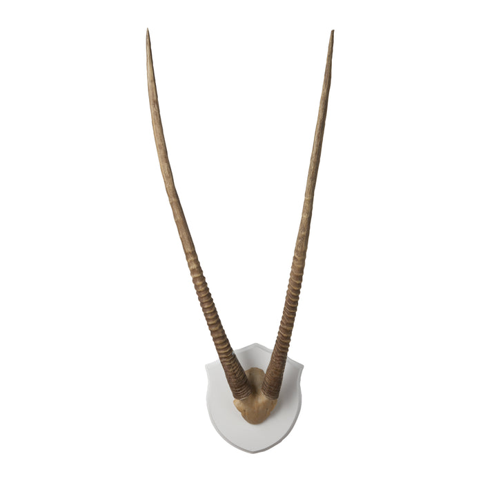 Gazelle Horns Dimensional Wall Art - Ecru