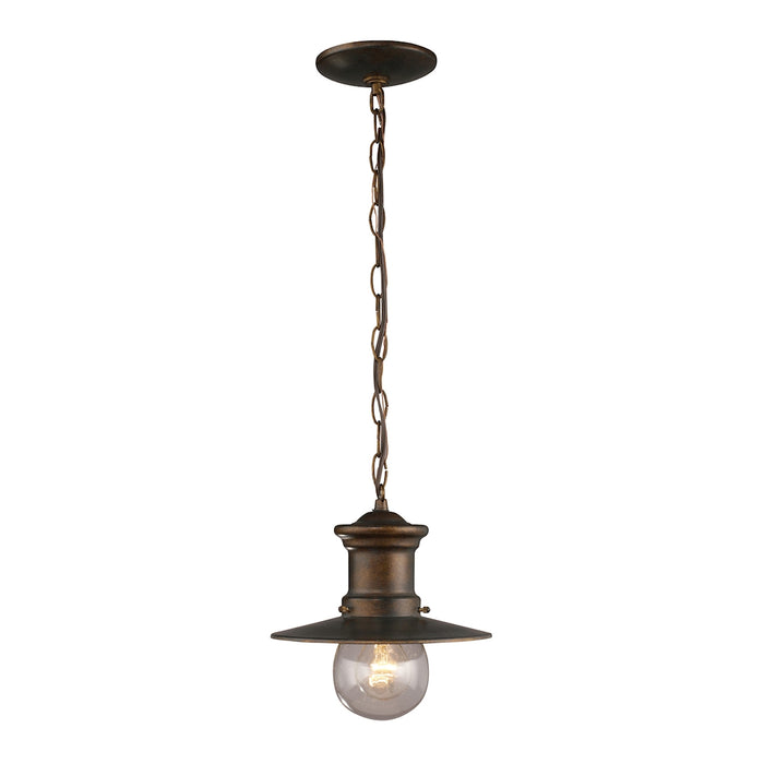 Maritime 9'' Wide 1-Light Outdoor Pendant - Hazelnut Bronze