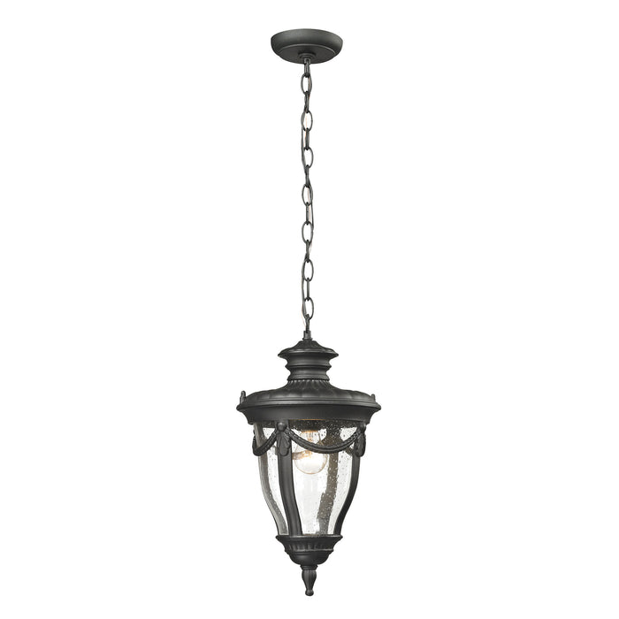 Anise 16'' High 1-Light Outdoor Pendant - Textured Matte Black