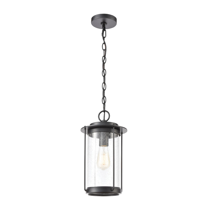 Devonshire 14'' High 1-Light Outdoor Pendant - Matte Black