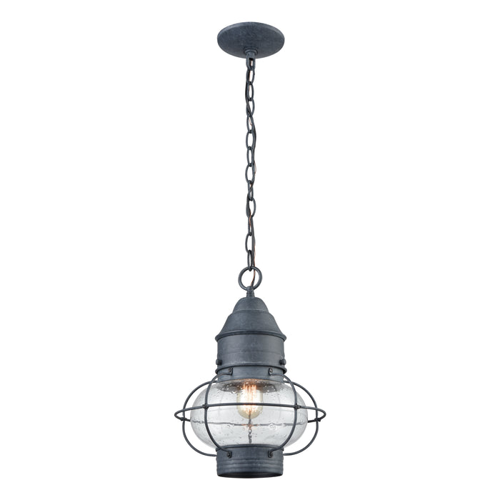 Onion 10'' Wide 1-Light Outdoor Pendant - Aged Zinc