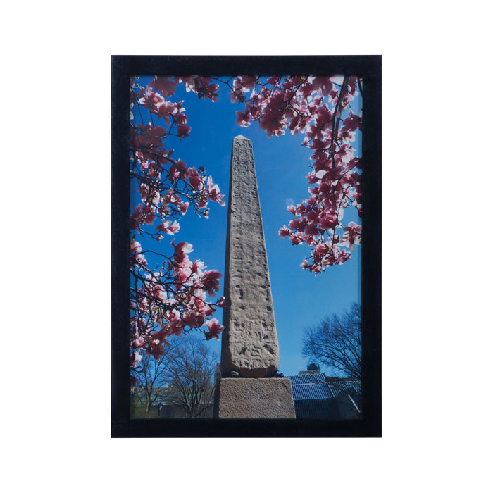 Central Park Obelisk