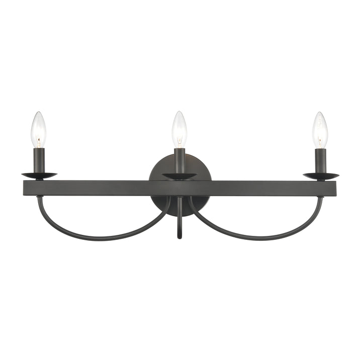 Williamson 24'' Wide 3-Light Vanity Light - Black