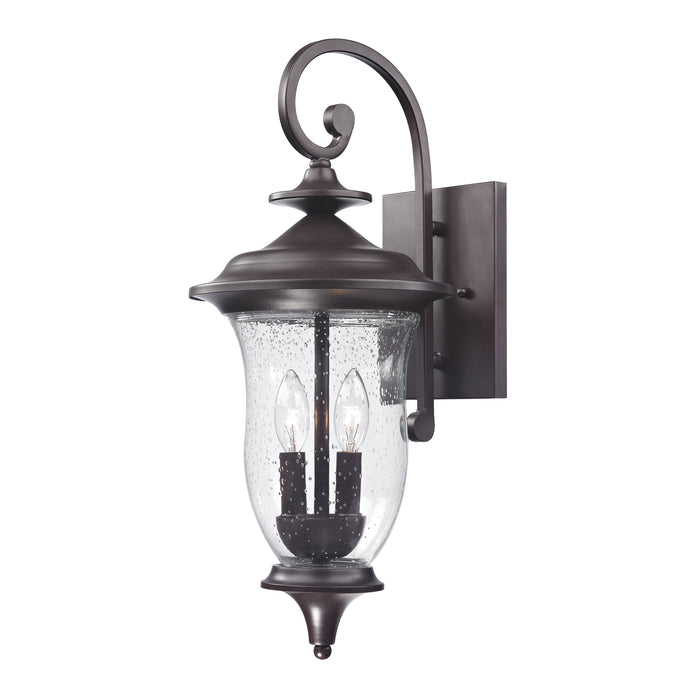 Trinity 22'' High 2-Light Outdoor Sconce - Oil Rubbed Bronze