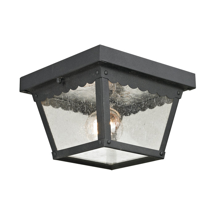 Springfield 8'' Wide 2-Light Outdoor Flush Mount - Matte Textured Black