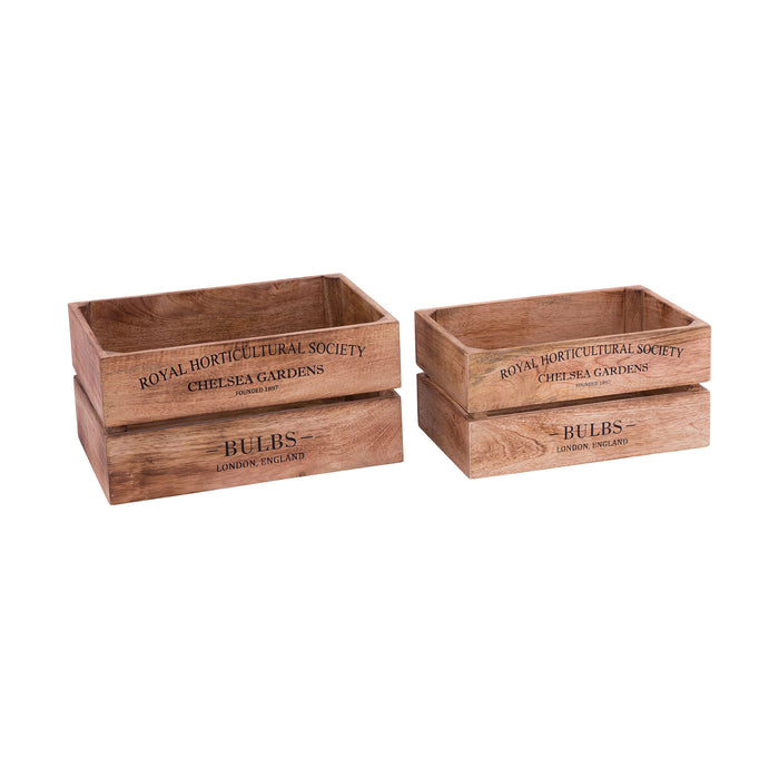 English Bulbs Boxes (Set of 2)