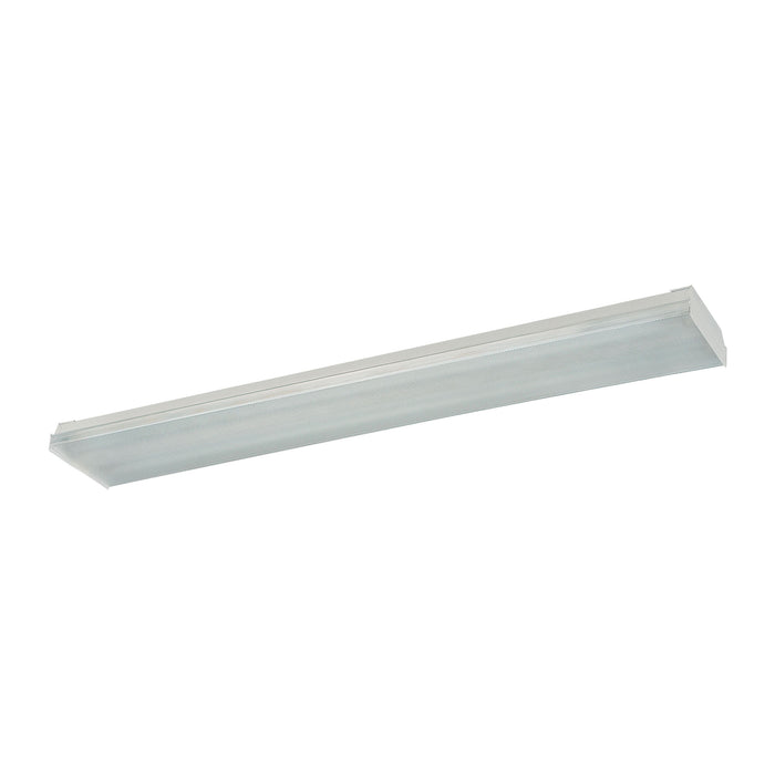 Fluor 2-Light Ceiling Lamp in Clear