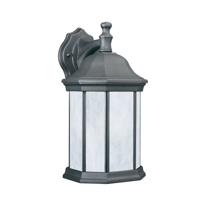 Hawthorne 1-Light Outdoor Wall Lantern in Black