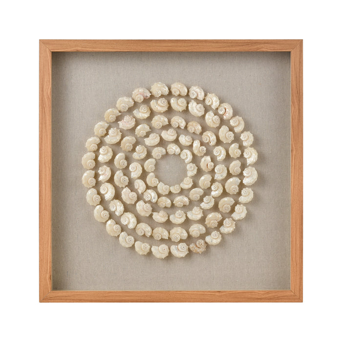 Concentric Shell Dimensional Wall Art