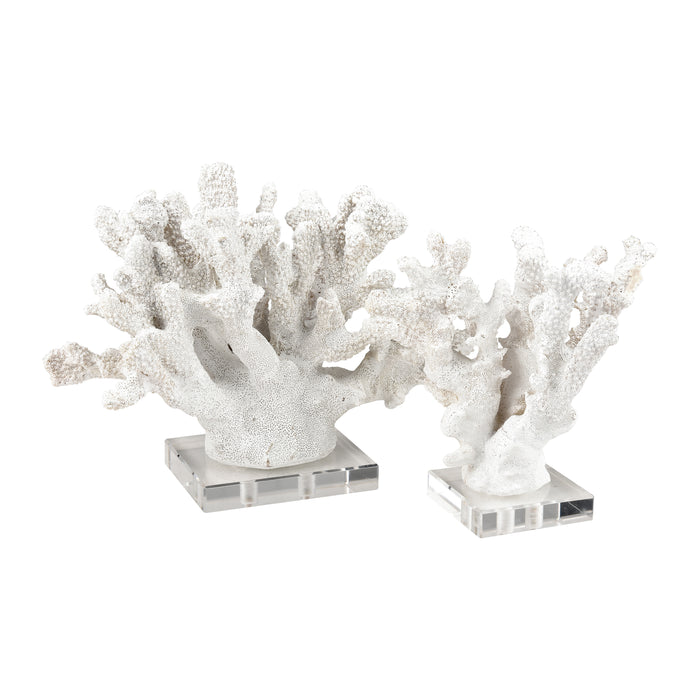 Coral Sculpture - Set of 2