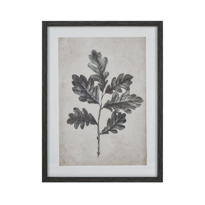 Oak I Botanic Framed Wall Art