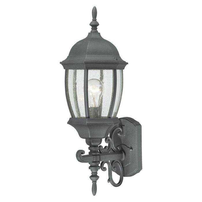 Covington 21.5'' High 1-Light Outdoor Sconce - Black