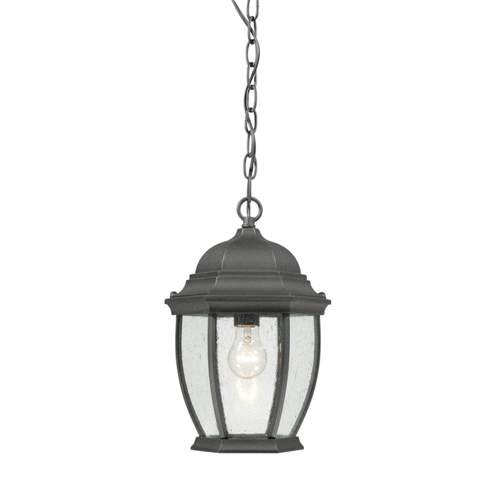 Covington 9.5'' Wide 1-Light Outdoor Pendant - Black