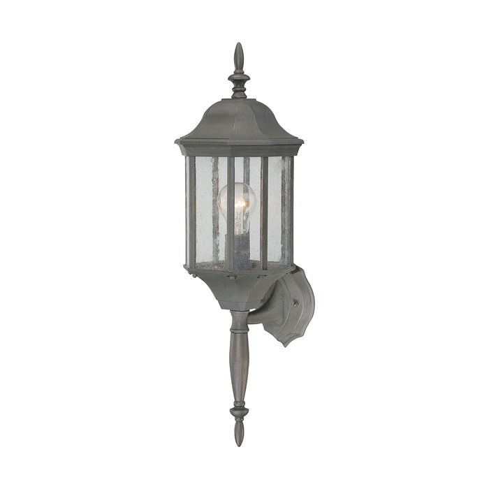 Hawthorne 1-Light Outdoor Wall Lantern in Painted Bronze