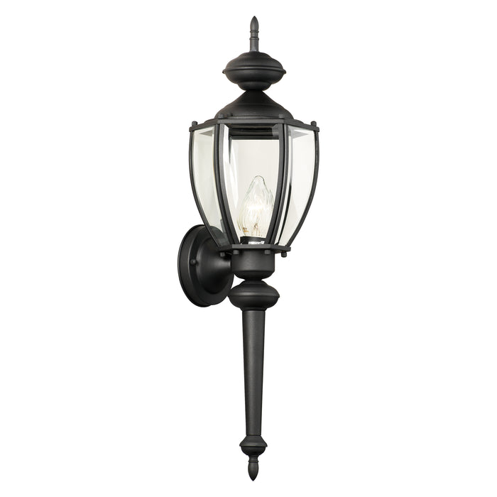 Park Avenue 24'' High 1-Light Outdoor Sconce - Black